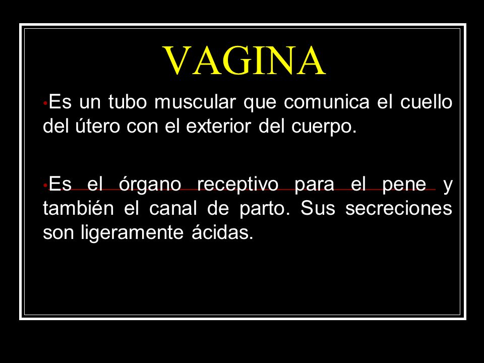 VAGINA Es un tubo muscular que comunica el cuello del útero con el exterior del cuerpo.