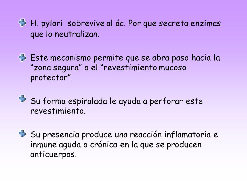H. pylori sobrevive al ác. Por que secreta enzimas que lo neutralizan.