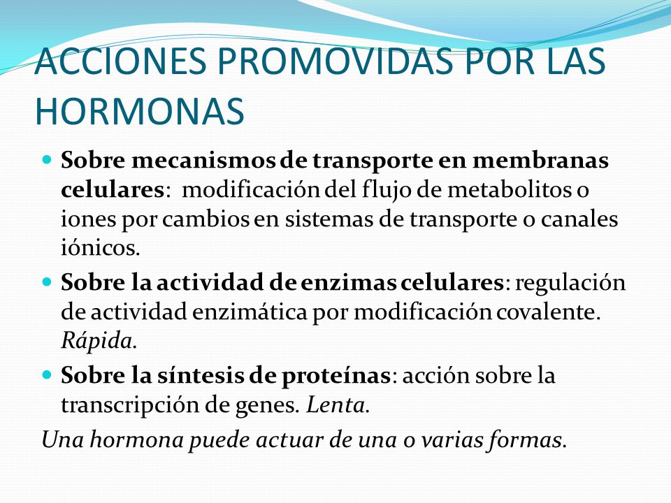 ACCIONES PROMOVIDAS POR LAS HORMONAS