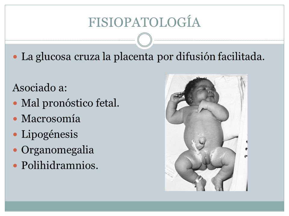 FISIOPATOLOGÍA La glucosa cruza la placenta por difusión facilitada.