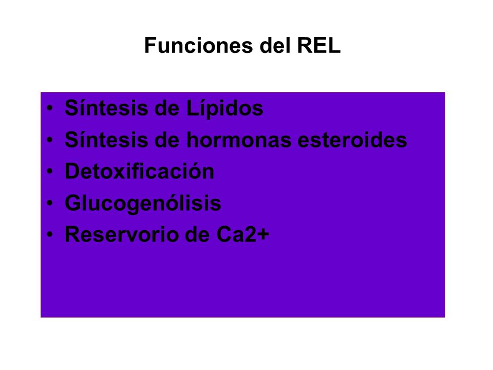 Funciones del REL Síntesis de Lípidos. Síntesis de hormonas esteroides. Detoxificación. Glucogenólisis.