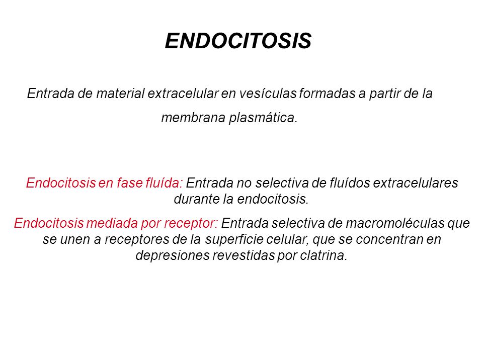 Entrada de material extracelular en vesículas formadas a partir de la