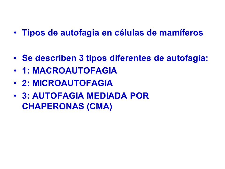 Tipos de autofagia en células de mamíferos