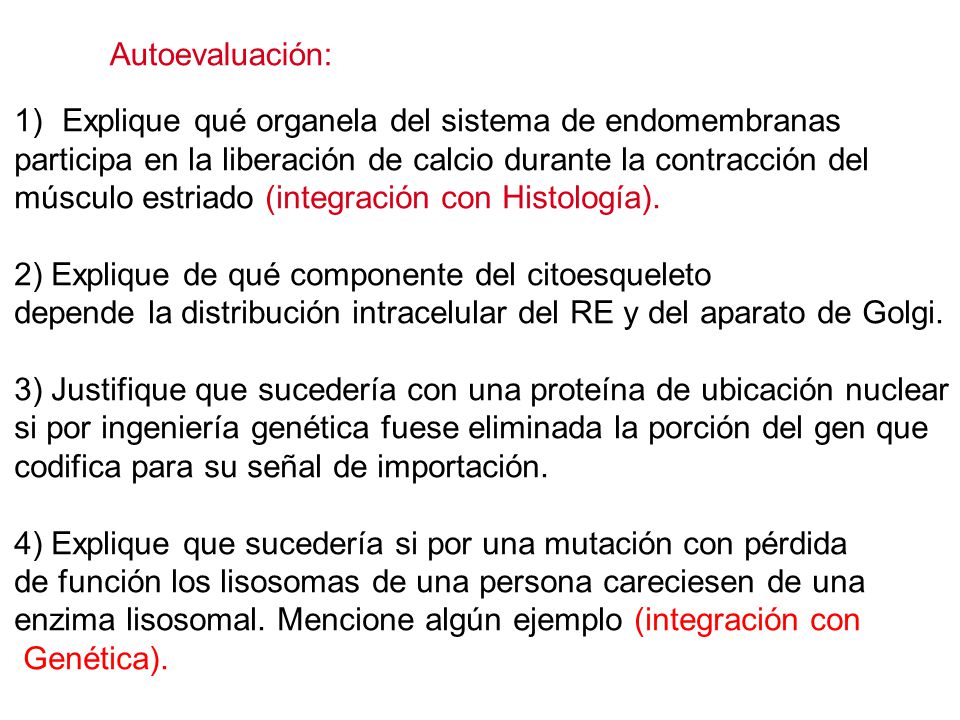 Autoevaluación: Explique qué organela del sistema de endomembranas. participa en la liberación de calcio durante la contracción del.