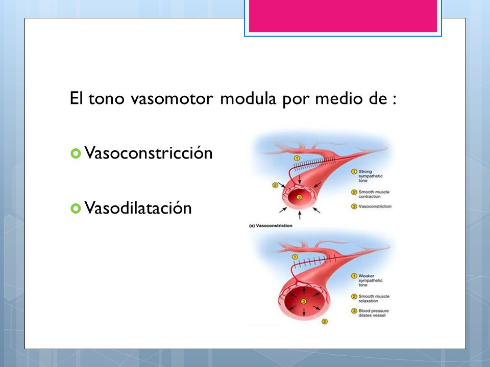 El tono vasomotor modula por medio de :