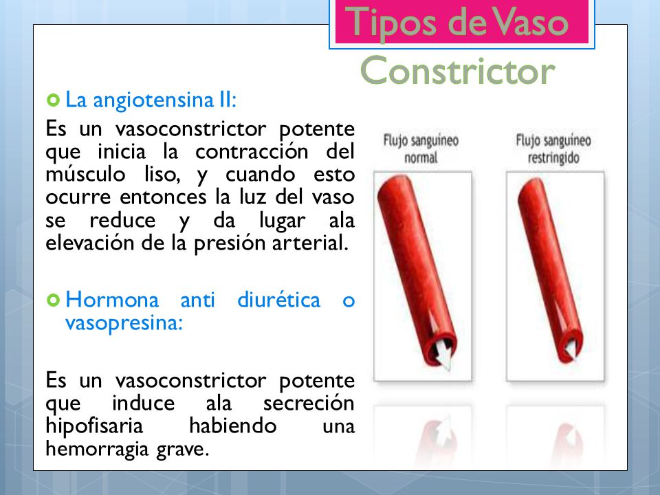 Tipos de Vaso Constrictor La angiotensina II:
