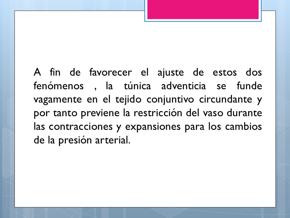 A fin de favorecer el ajuste de estos dos fenómenos , la túnica adventicia se funde vagamente en el tejido conjuntivo circundante y por tanto previene la restricción del vaso durante las contracciones y expansiones para los cambios de la presión arterial.