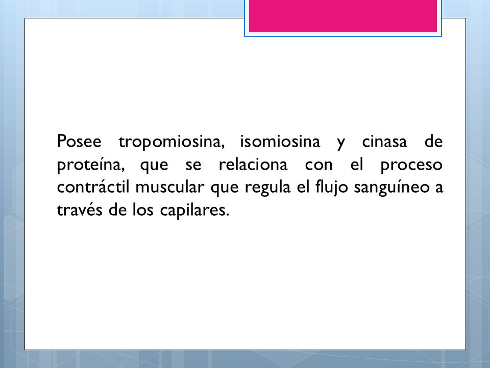 Posee tropomiosina, isomiosina y cinasa de proteína, que se relaciona con el proceso contráctil muscular que regula el flujo sanguíneo a través de los capilares.