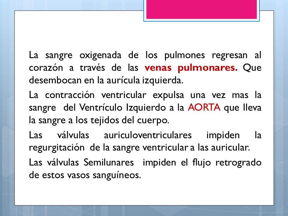 La sangre oxigenada de los pulmones regresan al corazón a través de las venas pulmonares.