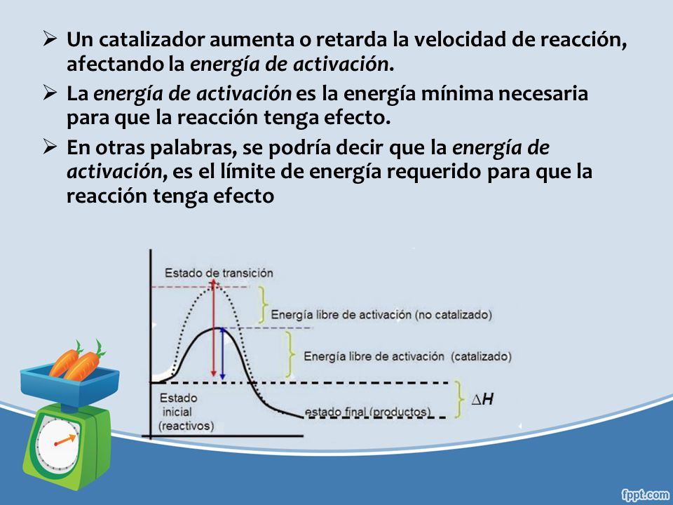 Un catalizador aumenta o retarda la velocidad de reacción, afectando la energía de activación.