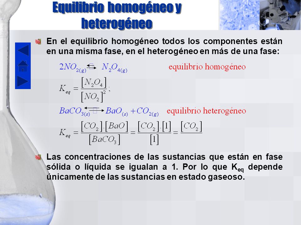 Equilibrio homogéneo y heterogéneo