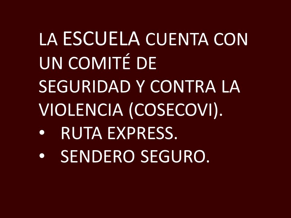 LA ESCUELA CUENTA CON UN COMITÉ DE SEGURIDAD Y CONTRA LA VIOLENCIA (COSECOVI).