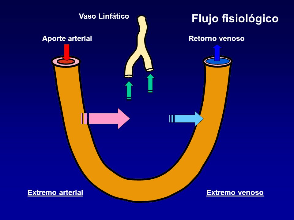 Flujo fisiológico Vaso Linfático Aporte arterial Retorno venoso