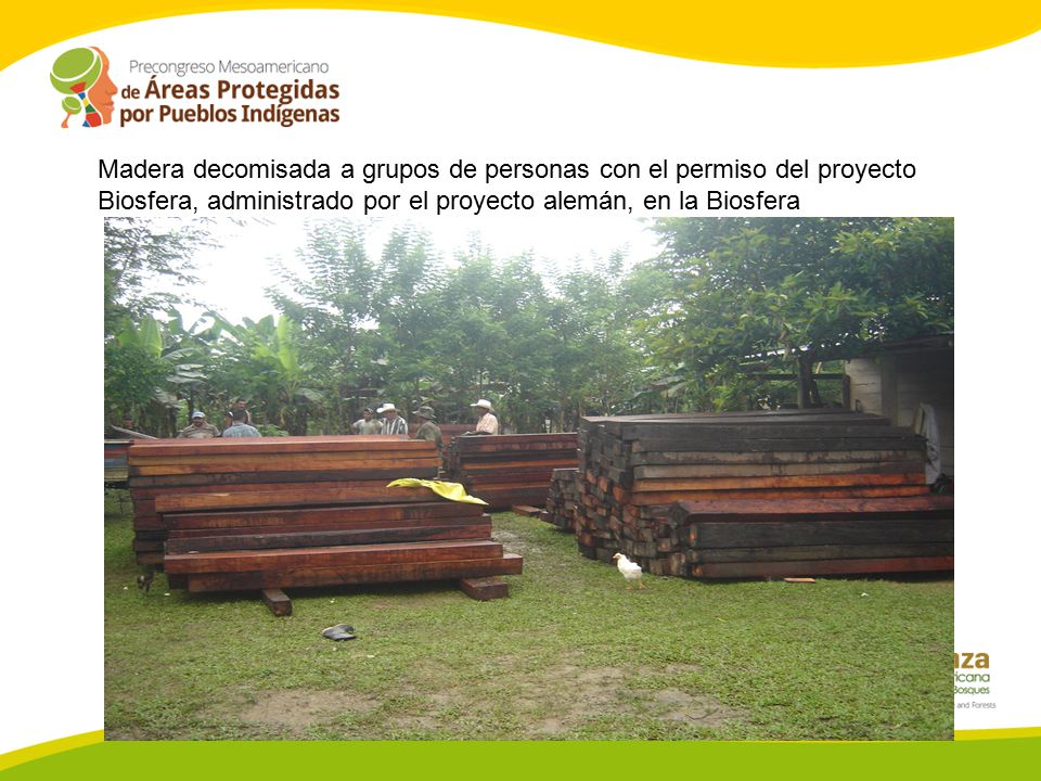 Madera decomisada a grupos de personas con el permiso del proyecto Biosfera, administrado por el proyecto alemán, en la Biosfera