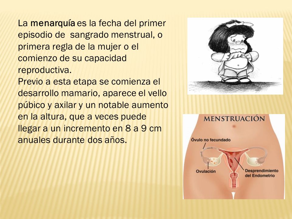 La menarquía es la fecha del primer episodio de sangrado menstrual, o primera regla de la mujer o el comienzo de su capacidad reproductiva.