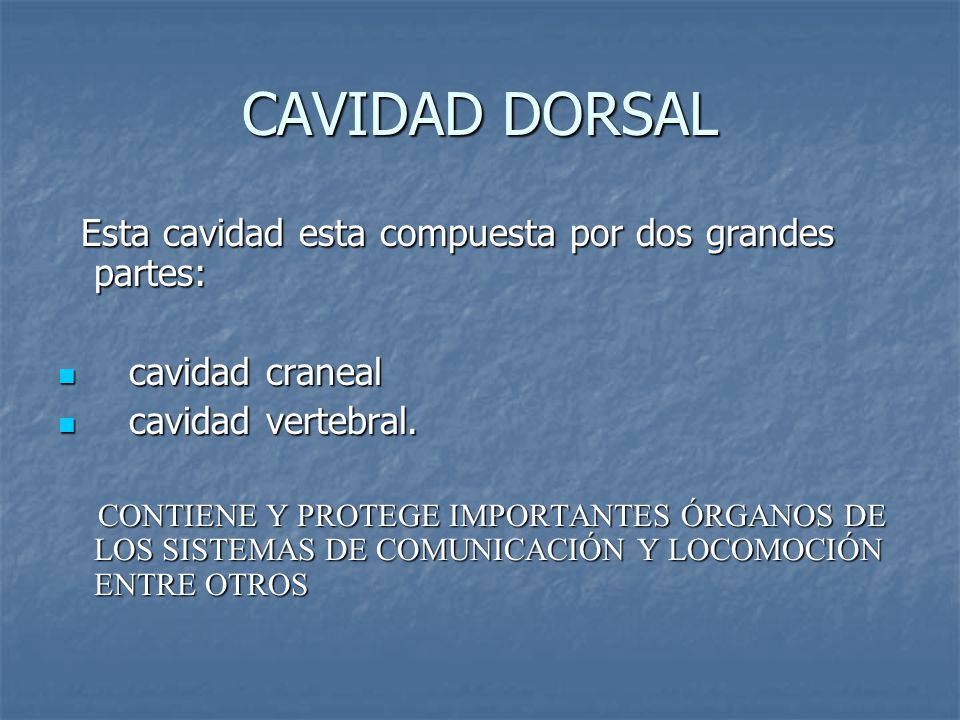 CAVIDAD DORSAL Esta cavidad esta compuesta por dos grandes partes: