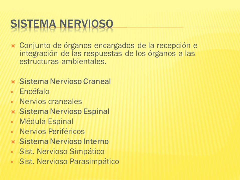 Sistema nervioso Conjunto de órganos encargados de la recepción e integración de las respuestas de los órganos a las estructuras ambientales.
