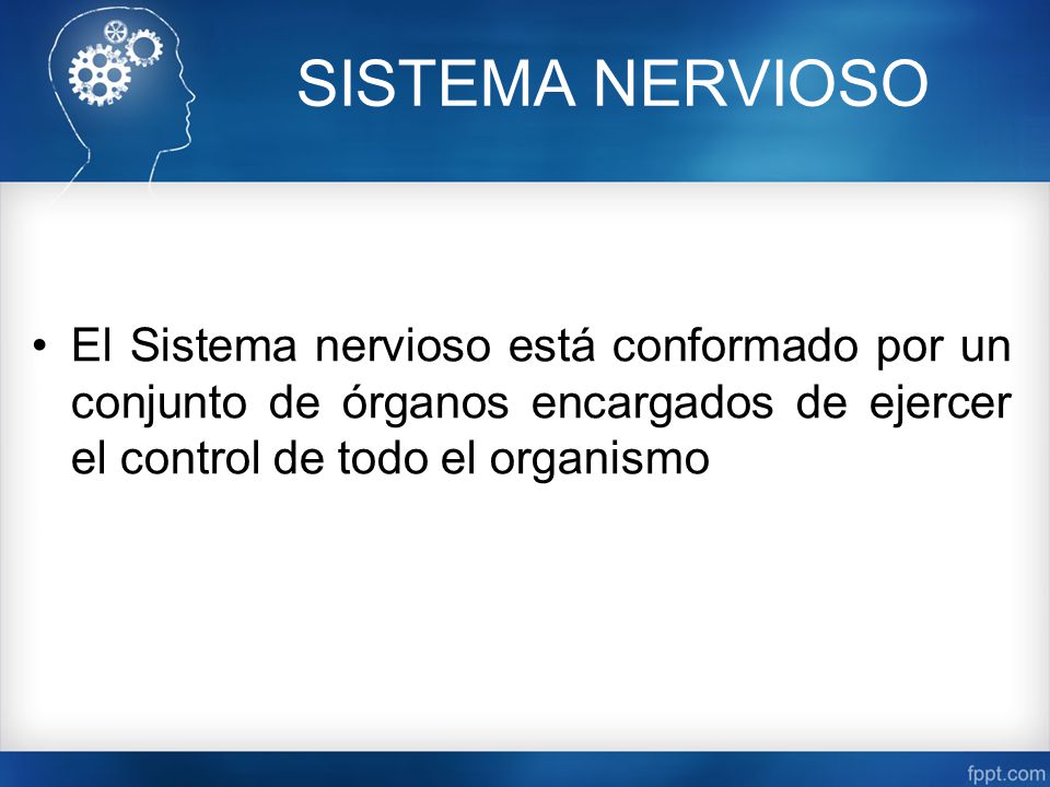 SISTEMA NERVIOSO El Sistema nervioso está conformado por un conjunto de órganos encargados de ejercer el control de todo el organismo.