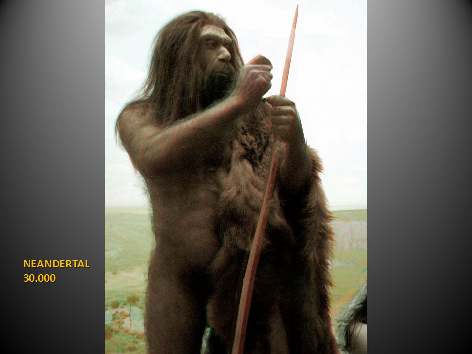 NEANDERTAL