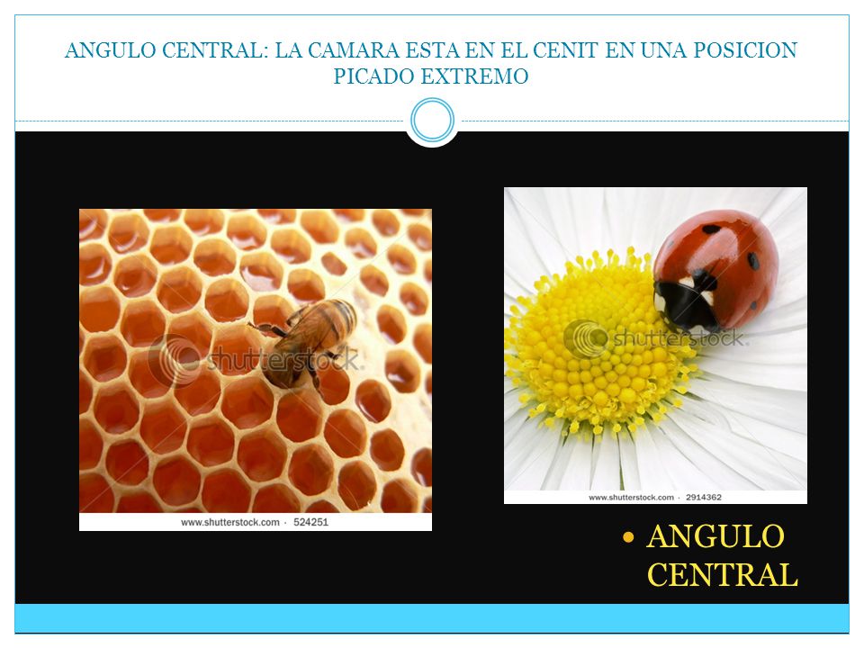 ANGULO CENTRAL: LA CAMARA ESTA EN EL CENIT EN UNA POSICION PICADO EXTREMO