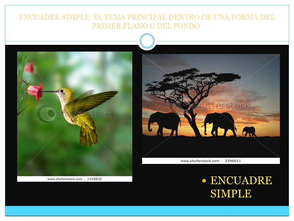 ENCUADRE SIMPLE: EL TEMA PRINCIPAL DENTRO DE UNA FORMA DEL PRIMER PLANO O DEL FONDO.