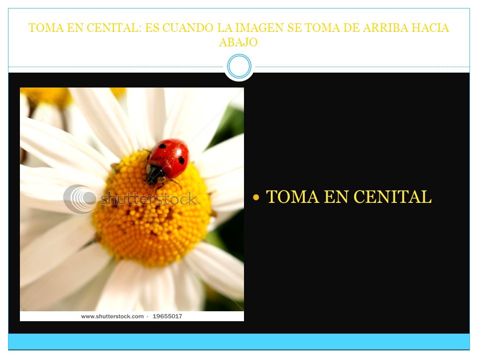 TOMA EN CENITAL: ES CUANDO LA IMAGEN SE TOMA DE ARRIBA HACIA ABAJO