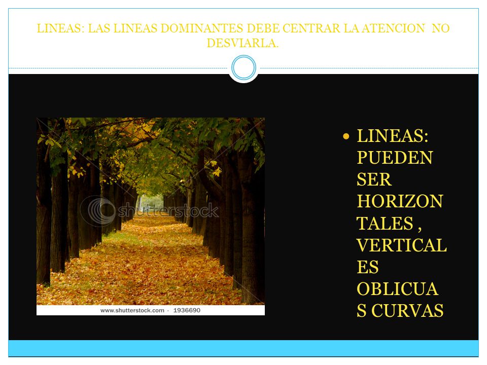 LINEAS: LAS LINEAS DOMINANTES DEBE CENTRAR LA ATENCION NO DESVIARLA.