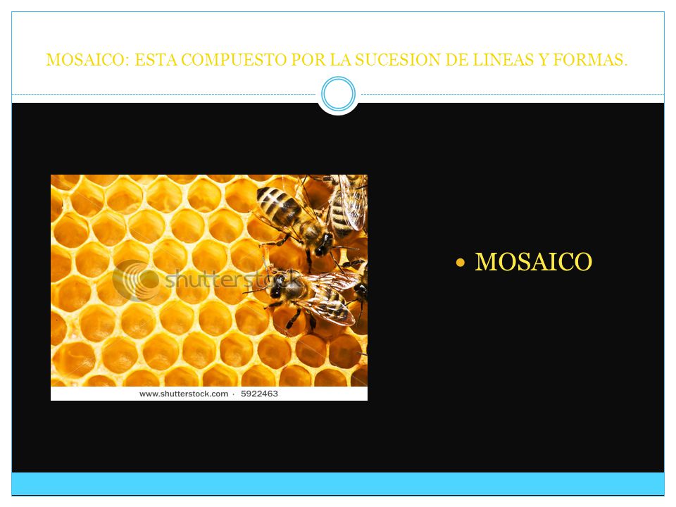 MOSAICO: ESTA COMPUESTO POR LA SUCESION DE LINEAS Y FORMAS.