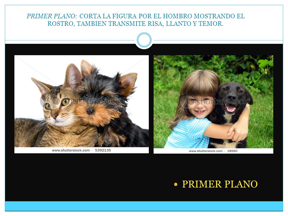 PRIMER PLANO: CORTA LA FIGURA POR EL HOMBRO MOSTRANDO EL ROSTRO, TAMBIEN TRANSMITE RISA, LLANTO Y TEMOR.