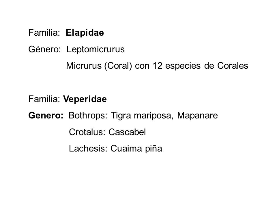 Familia: Elapidae Género: Leptomicrurus. Micrurus (Coral) con 12 especies de Corales. Familia: Veperidae.