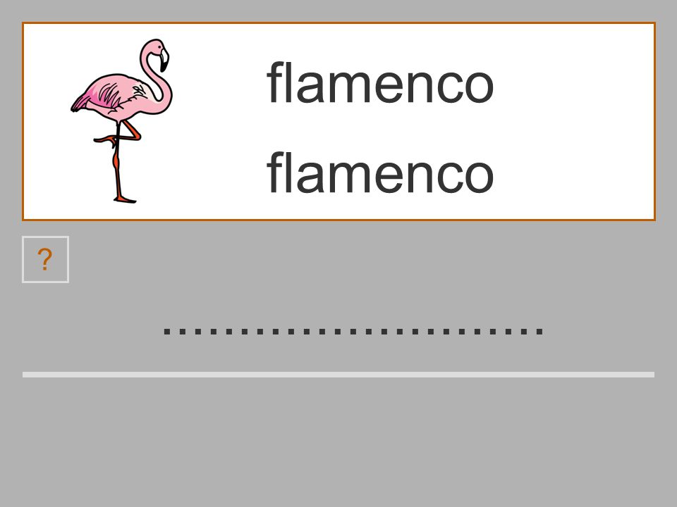 flamenco flamenco a m e n f l o c