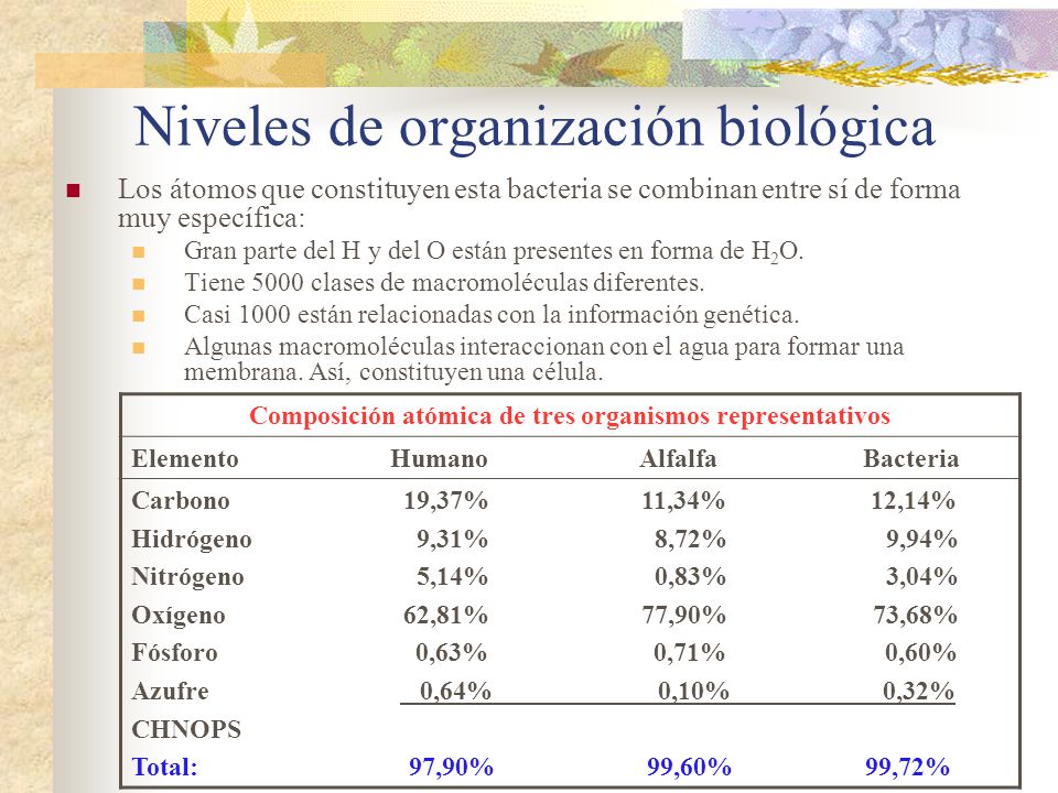 Niveles de organización biológica