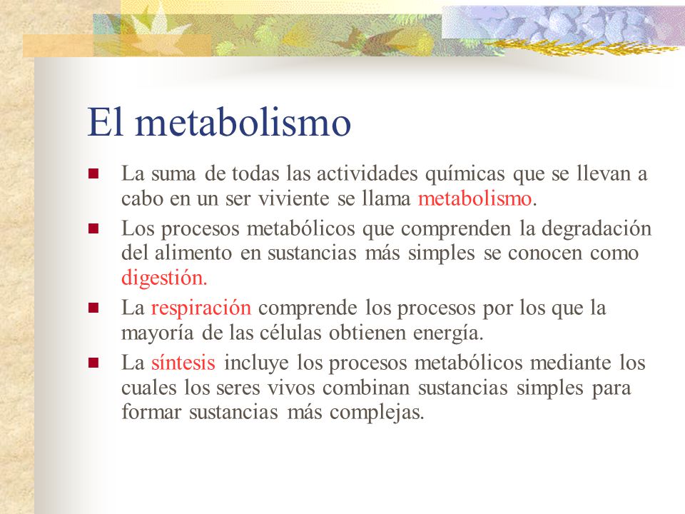 El metabolismo La suma de todas las actividades químicas que se llevan a cabo en un ser viviente se llama metabolismo.