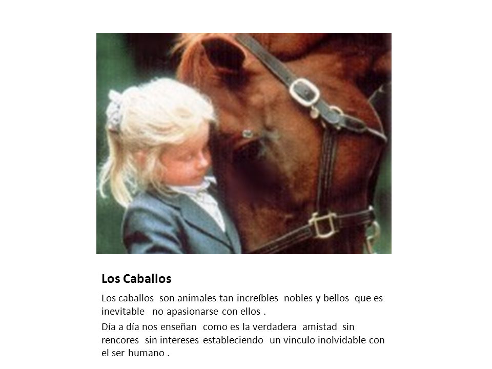 Los Caballos Los caballos son animales tan increíbles nobles y bellos que es inevitable no apasionarse con ellos .