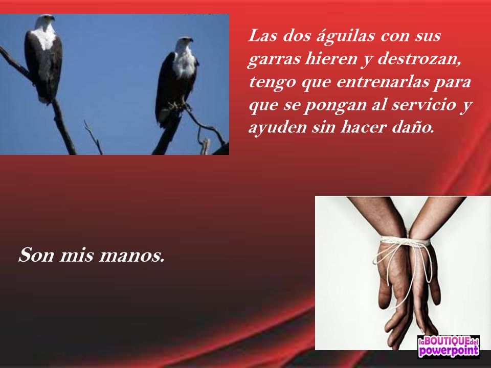 Las dos águilas con sus garras hieren y destrozan, tengo que entrenarlas para que se pongan al servicio y ayuden sin hacer daño.