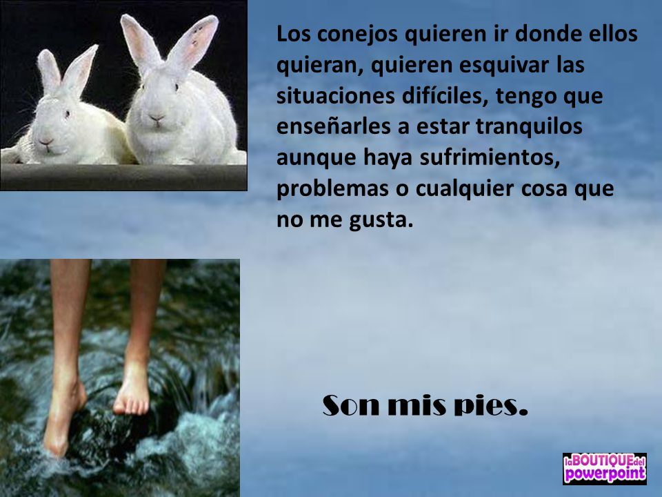 Los conejos quieren ir donde ellos quieran, quieren esquivar las situaciones difíciles, tengo que enseñarles a estar tranquilos aunque haya sufrimientos, problemas o cualquier cosa que no me gusta.