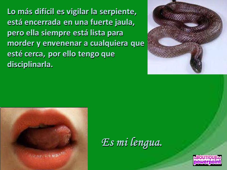Lo más difícil es vigilar la serpiente, está encerrada en una fuerte jaula, pero ella siempre está lista para morder y envenenar a cualquiera que esté cerca, por ello tengo que disciplinarla.