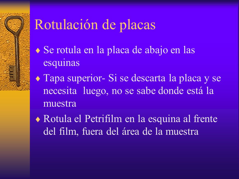 Rotulación de placas Se rotula en la placa de abajo en las esquinas