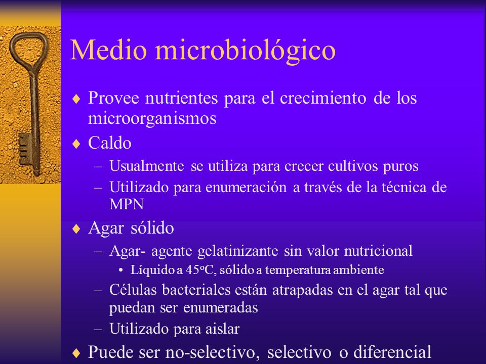 Medio microbiológico Provee nutrientes para el crecimiento de los microorganismos. Caldo. Usualmente se utiliza para crecer cultivos puros.