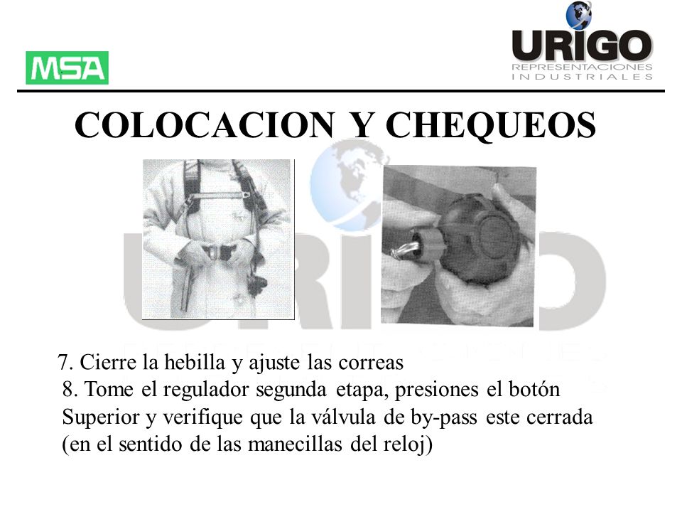 COLOCACION Y CHEQUEOS 7. Cierre la hebilla y ajuste las correas