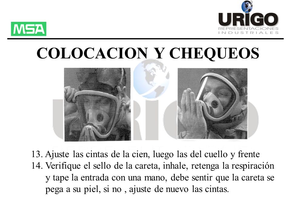 COLOCACION Y CHEQUEOS 13. Ajuste las cintas de la cien, luego las del cuello y frente.