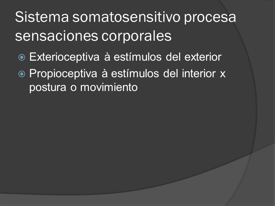 Sistema somatosensitivo procesa sensaciones corporales