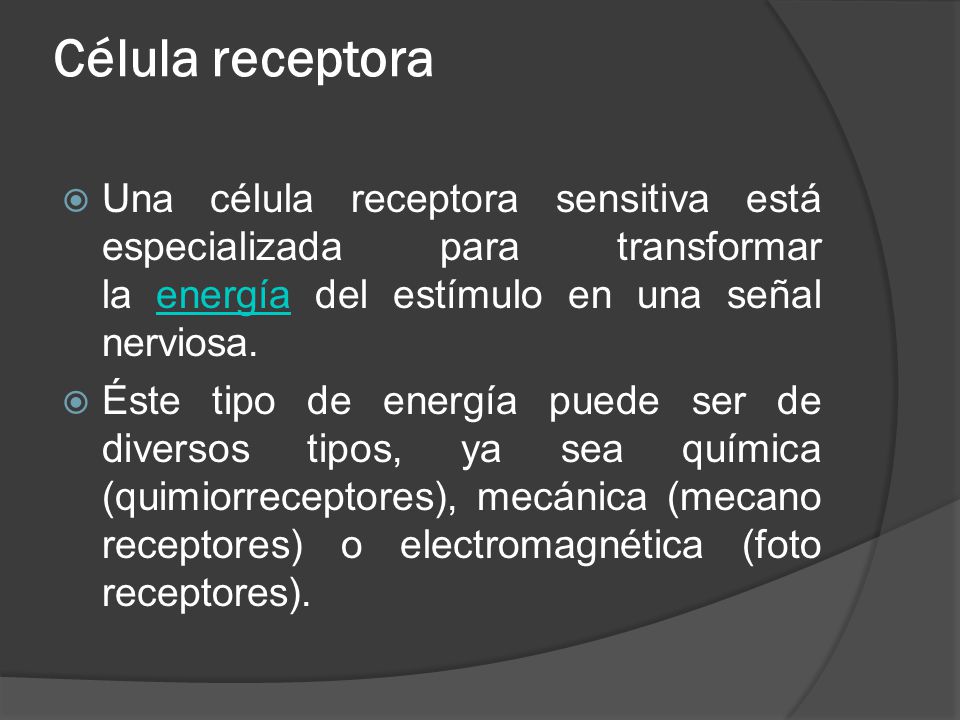 Célula receptora Una célula receptora sensitiva está especializada para transformar la energía del estímulo en una señal nerviosa.