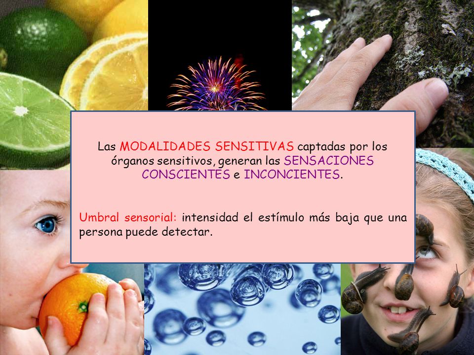 Las MODALIDADES SENSITIVAS captadas por los órganos sensitivos, generan las SENSACIONES CONSCIENTES e INCONCIENTES.