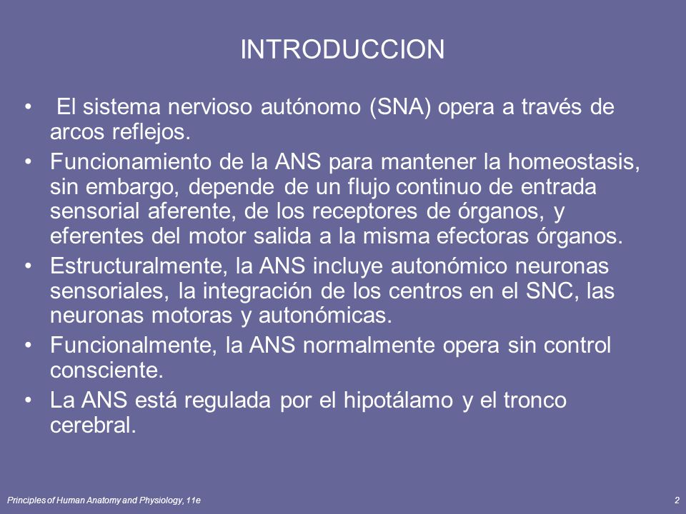 INTRODUCCION El sistema nervioso autónomo (SNA) opera a través de arcos reflejos.