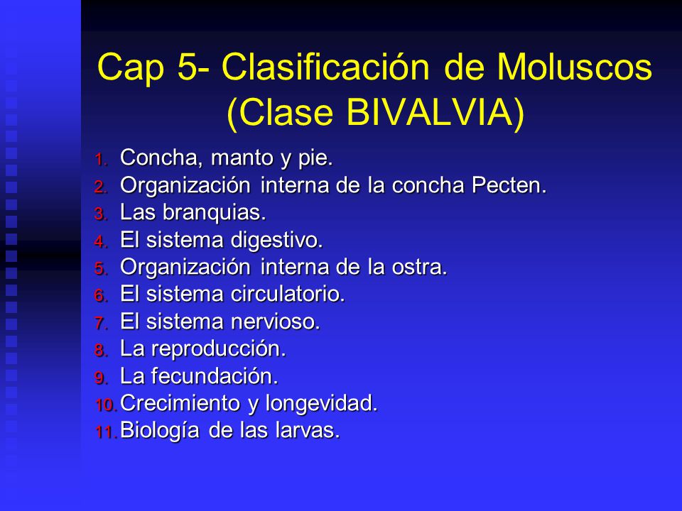 Cap 5- Clasificación de Moluscos (Clase BIVALVIA)