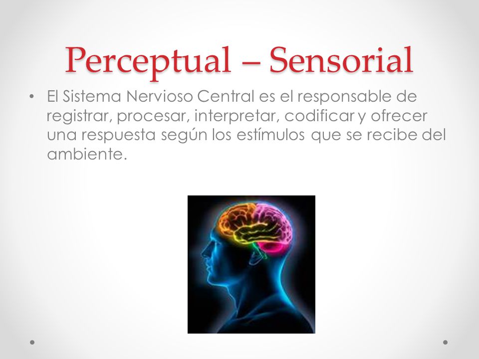 Perceptual – Sensorial
