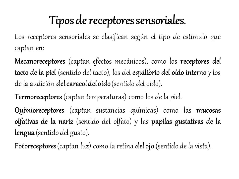 Tipos de receptores sensoriales.