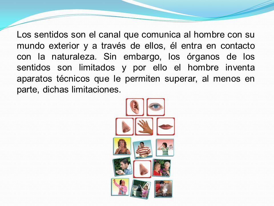 Los sentidos son el canal que comunica al hombre con su mundo exterior y a través de ellos, él entra en contacto con la naturaleza.