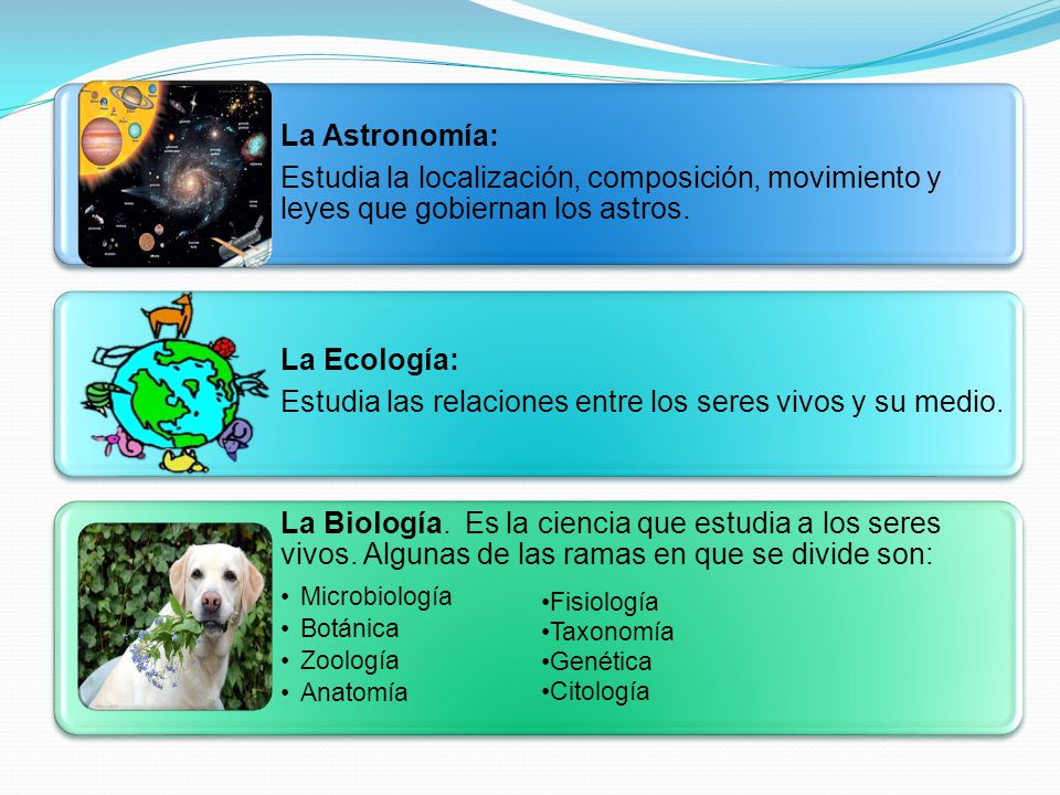 Estudia las relaciones entre los seres vivos y su medio.